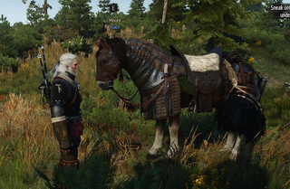 Illustration for article titled The Latest Free Witcher 3 DLC Is Really Good